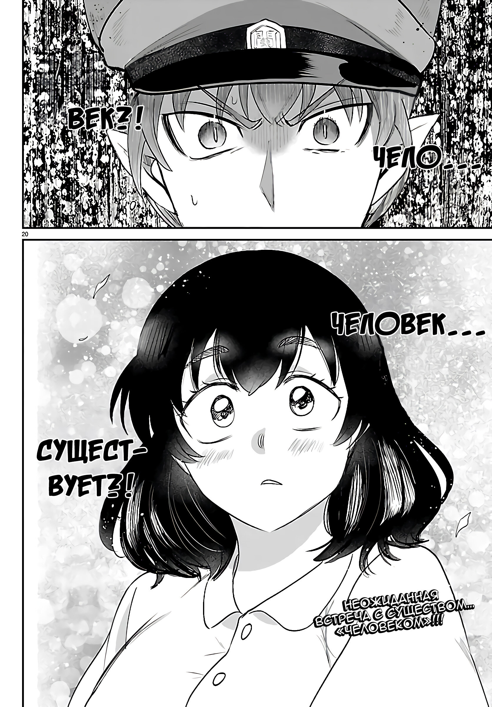 Страница 20