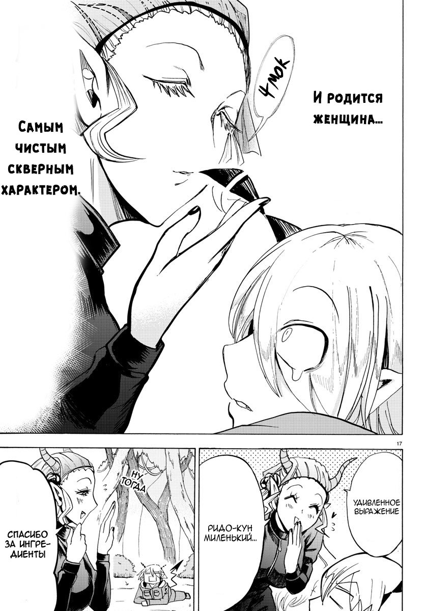 Страница 17