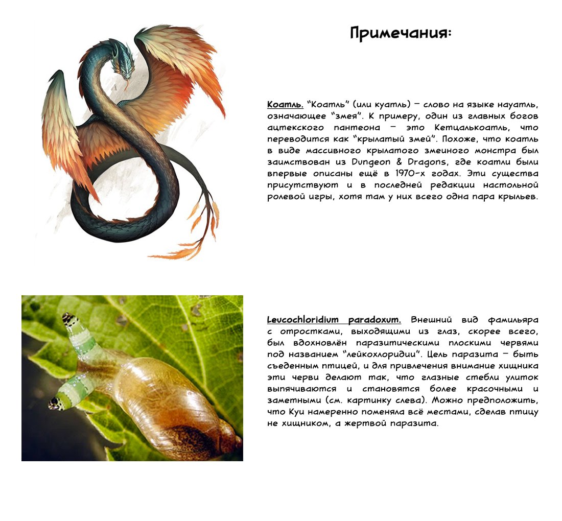 Страница 31