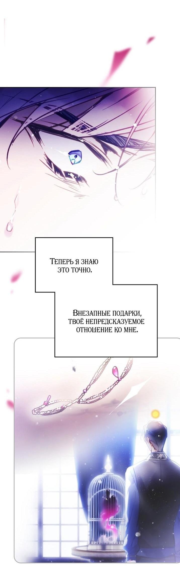 Страница 43